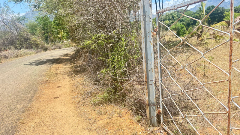  46 Acre Agricultural/Farm Land for Sale in Poovani, Tirunelveli