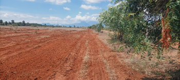  Agricultural Land for Sale in Nanguneri, Tirunelveli