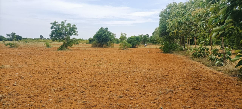  Agricultural Land 17 Acre for Sale in Nanguneri, Tirunelveli