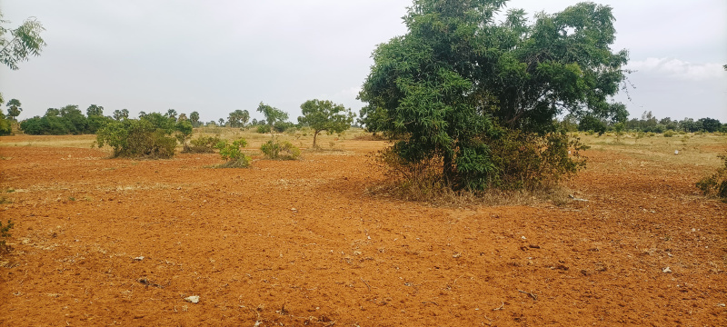  180 Acre Agricultural/Farm Land for Sale in Karungulam, Tirunelveli