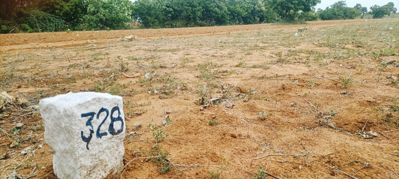  180 Acre Agricultural/Farm Land for Sale in Karungulam, Tirunelveli
