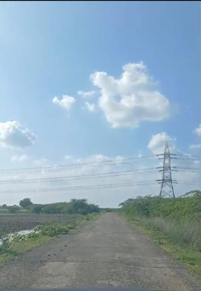  Agricultural Land 24 Acre for Sale in Kadayanallur, Tirunelveli