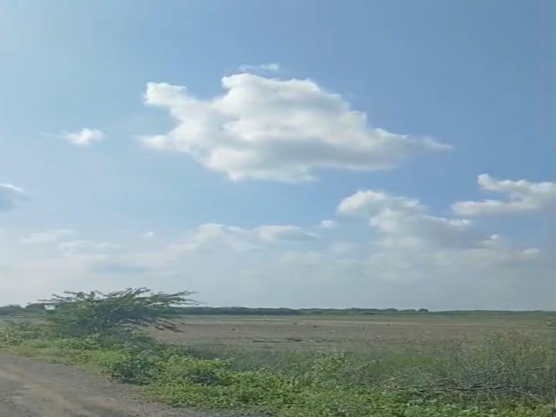  Agricultural Land 24 Acre for Sale in Kadayanallur, Tirunelveli
