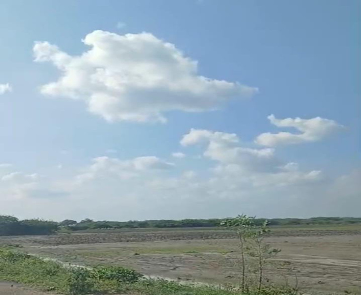  Agricultural Land 24 Acre for Sale in Kadayanallur, Tirunelveli