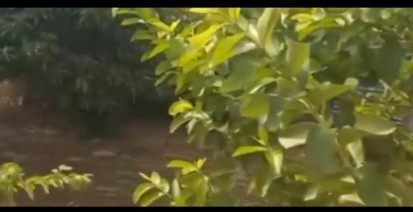  Agricultural Land 2 Acre for Sale in Vandavasi, Tiruvannamalai