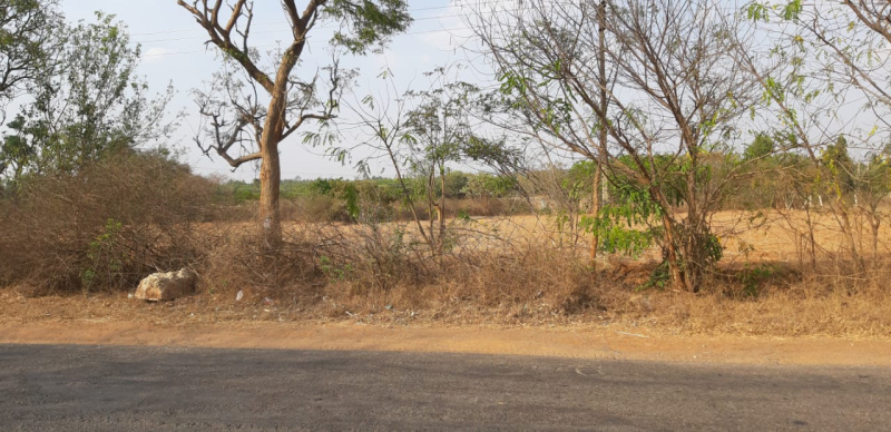  Agricultural Land 5 Acre for Sale in Thudiyalur, Coimbatore