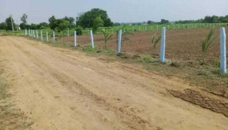  Agricultural Land 3 Acre for Sale in Saravanampatti, Coimbatore