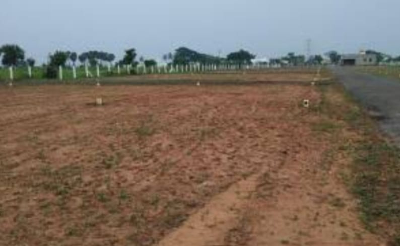  Agricultural Land 3 Acre for Sale in Saravanampatti, Coimbatore