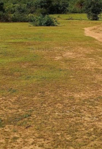  Agricultural Land 3 Acre for Sale in Saravanampatti, Coimbatore