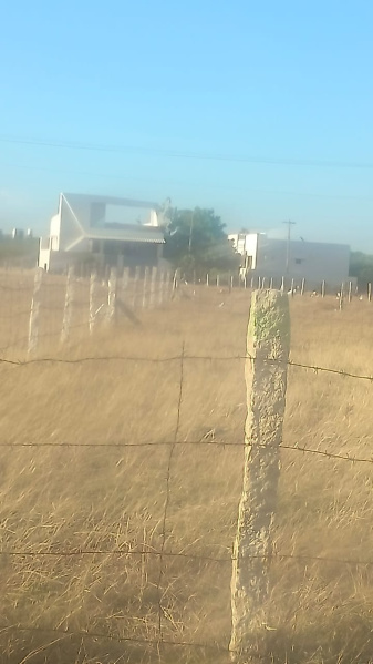  Agricultural Land 8 Acre for Sale in Ambattur, Chennai