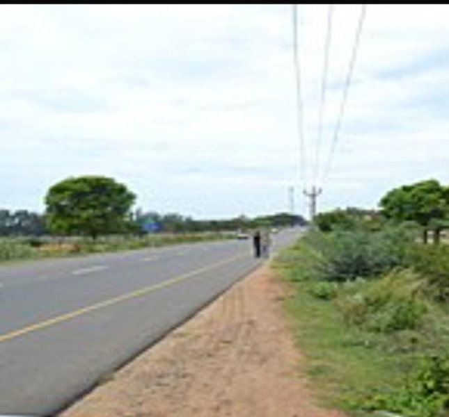  Agricultural Land 50 Cent for Sale in L&T Bypass, Coimbatore