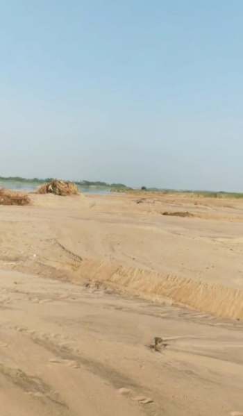  Agricultural Land 4300 Acre for Sale in Paramakudi, Ramanathapuram
