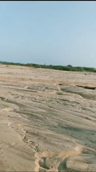  Agricultural Land 4300 Acre for Sale in Paramakudi, Ramanathapuram