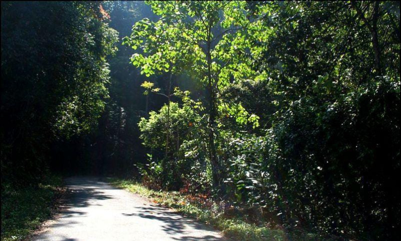  Agricultural Land 1600 Acre for Sale in Periyakulam, Theni