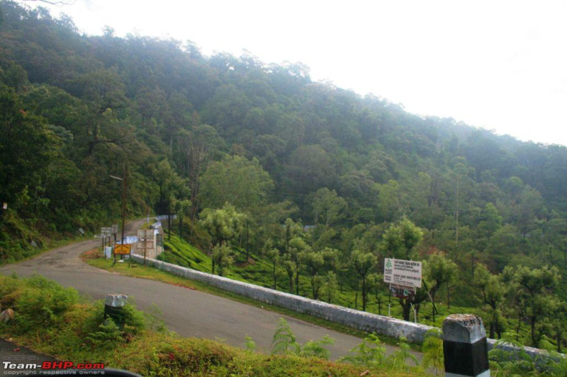  560 Acre Agricultural/Farm Land for Sale in Coonoor, Ooty