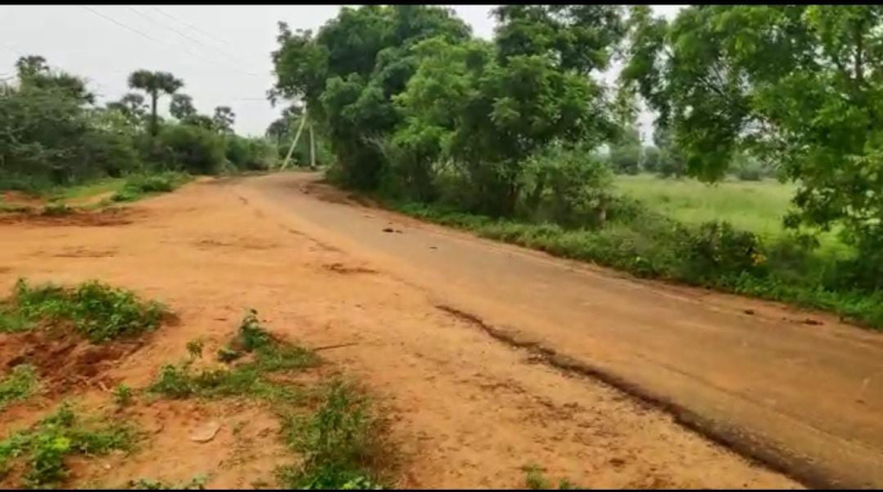 Agricultural Land 40 Acre for Sale in Panagudi, Tirunelveli