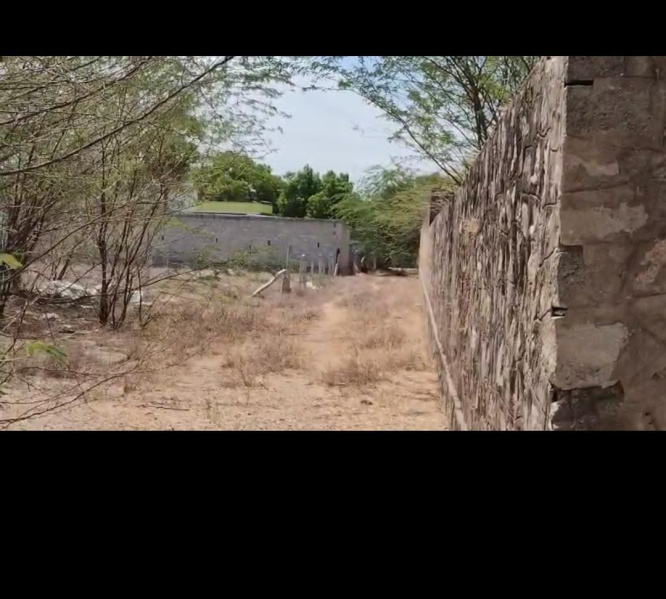  Agricultural Land 50 Acre for Sale in Moolakaraipatti, Tirunelveli
