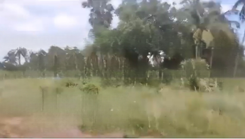  Agricultural Land 750 Acre for Sale in Theni Sidco, 