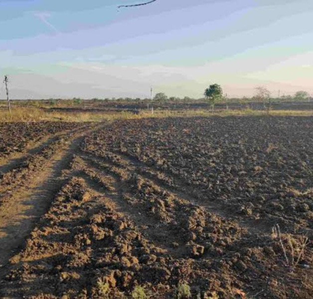  Agricultural Land 400 Acre for Sale in Paramakudi, Ramanathapuram