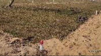  Commercial Land for Sale in Sulur, Coimbatore