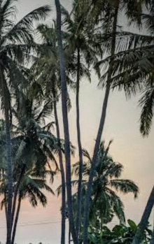  Agricultural Land for Sale in Karamadai, Coimbatore