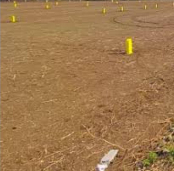 Commercial Land 4 Cent for Sale in Reddiarpatti, Tirunelveli
