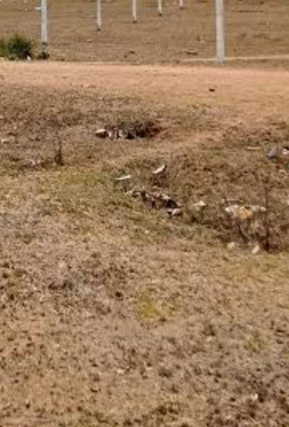  Commercial Land 3 Cent for Sale in Reddiarpatti, Tirunelveli