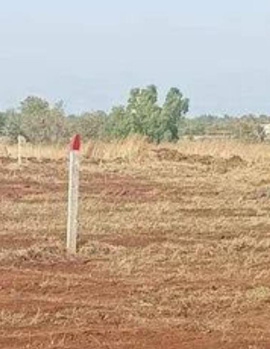  Commercial Land for Sale in Sulur, Coimbatore