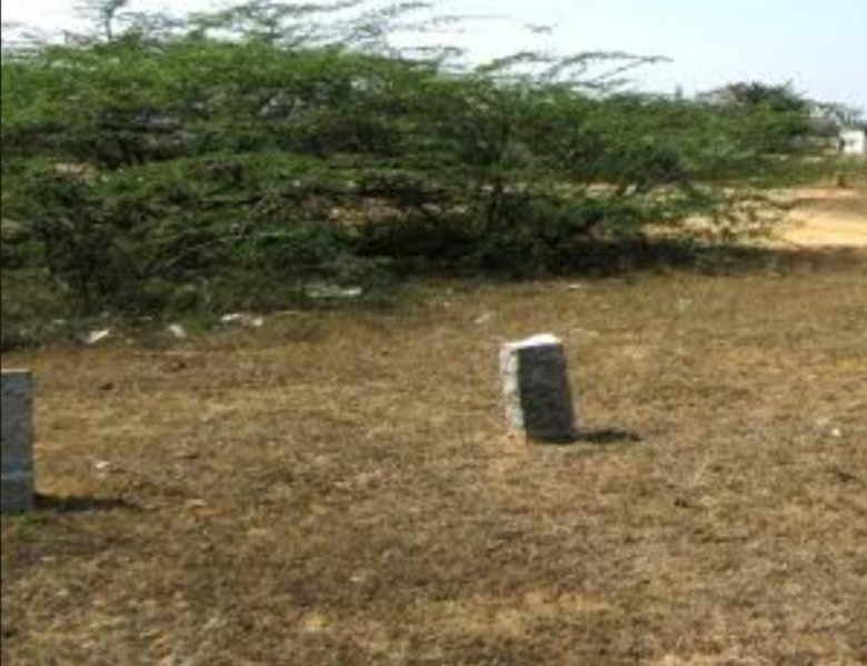  Commercial Land 450 Acre for Sale in Kanchipuram, Chennai, 