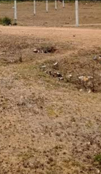 Agricultural Land for Sale in Walayar, Coimbatore