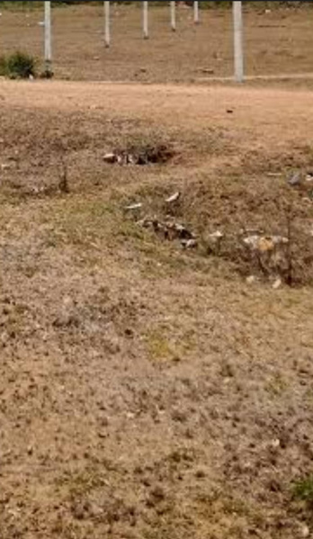  Agricultural Land 1 Acre for Sale in Walayar, Coimbatore