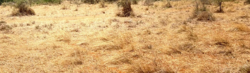  Commercial Land 75 Cent for Sale in Sulur, Coimbatore