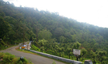  Agricultural Land for Sale in Coonoor, Ooty