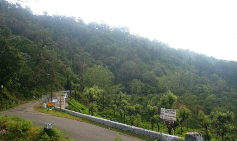  Agricultural Land 200 Acre for Sale in Coonoor, Ooty