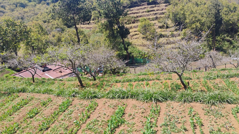  Agricultural Land 10 Acre for Sale in Mysore Road, Ooty