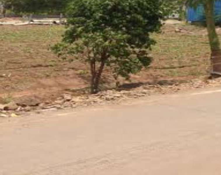  Commercial Land 6 Acre for Sale in Tenkasi, Tirunelveli