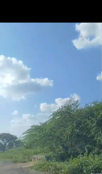  Agricultural Land 3000 Acre for Sale in Kamuthi, Ramanathapuram