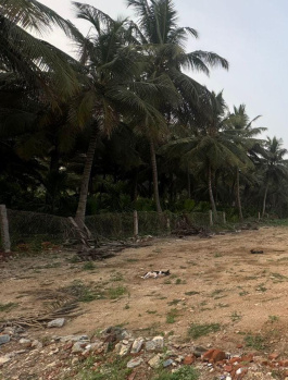  Agricultural Land for Sale in Nagampatti, Thoothukudi