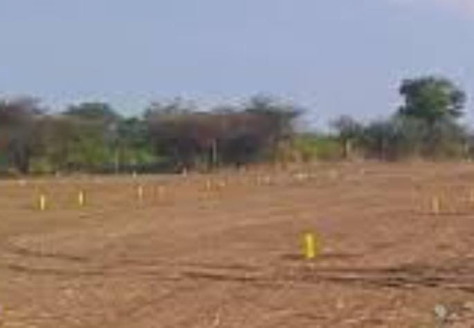  Commercial Land 55 Cent for Sale in Tenkasi, Tirunelveli