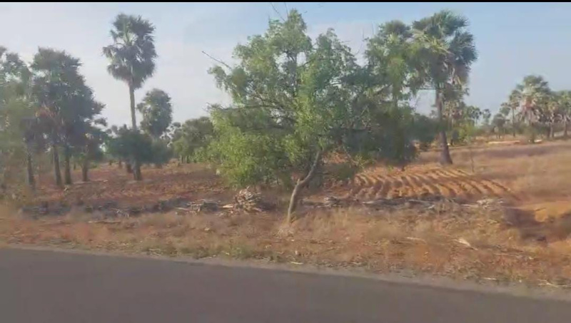  Agricultural Land 200 Acre for Sale in Sankarankoil, Tirunelveli