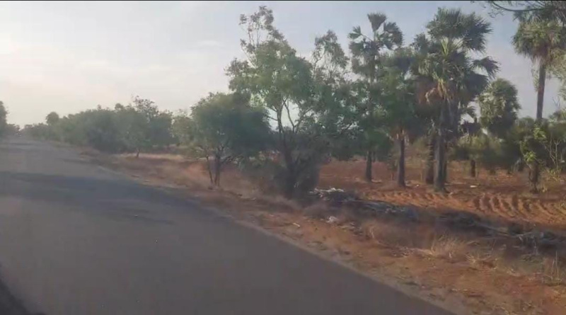  Agricultural Land 200 Acre for Sale in Sankarankoil, Tirunelveli