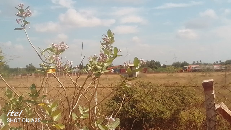  Commercial Land 8 Acre for Sale in Tenkasi, Tirunelveli