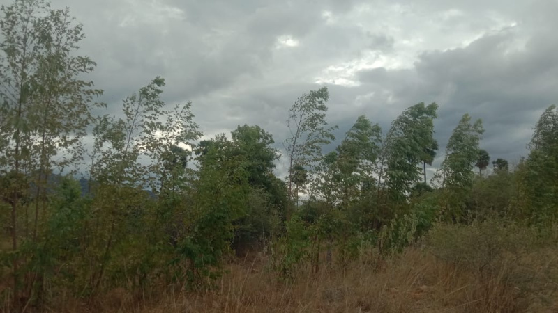  Agricultural Land 20 Acre for Sale in Tenkasi, Tirunelveli