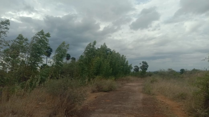  Agricultural Land 20 Acre for Sale in Tenkasi, Tirunelveli
