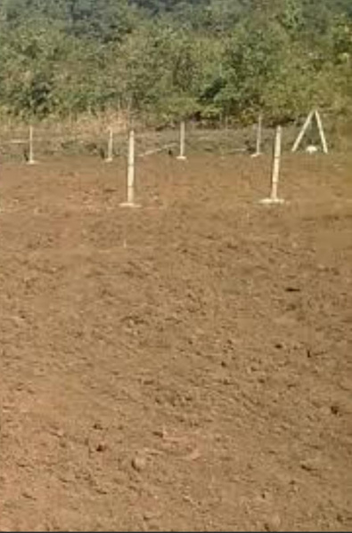  Commercial Land 20 Acre for Sale in Anaikatti, Coimbatore