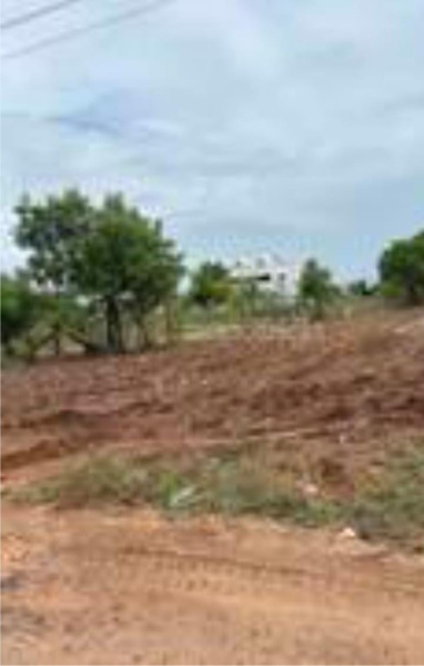  Commercial Land 33 Acre for Sale in Kanakkampalayam, Coimbatore