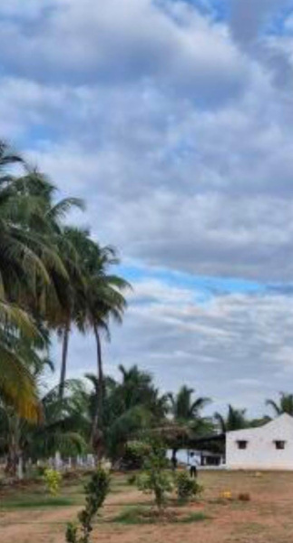  Commercial Land 7 Acre for Sale in Karumathampatti, Coimbatore