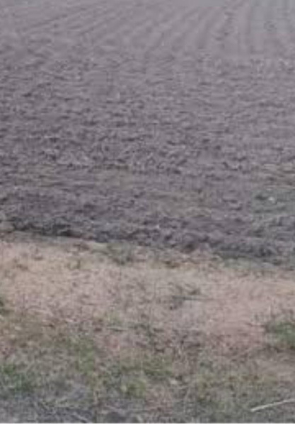  Agricultural Land 10 Acre for Sale in Abiramam, Ramanathapuram