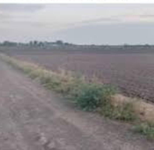  Agricultural Land 10 Acre for Sale in Abiramam, Ramanathapuram