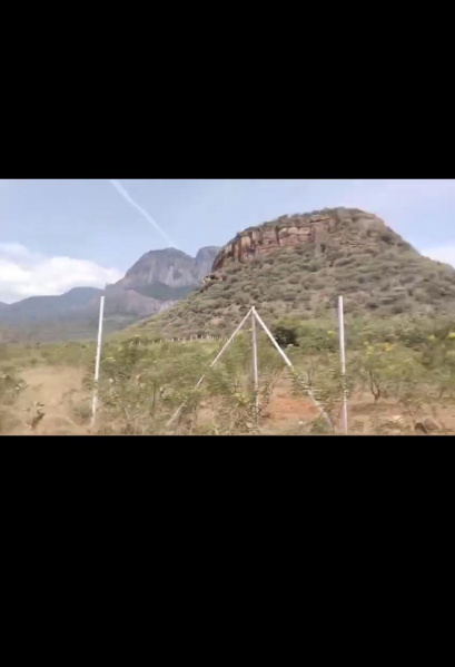  800 Acre Agricultural/Farm Land for Sale in Panagudi, Tirunelveli